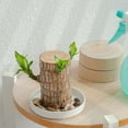 thumbnail image 1 of Kumdkd White Ceramic Plant Brazilian wood Tray - 7" Brazilian Wood Base & Bonsai Drip Catcher - Waterproof Desk Decor for Office/Lucky Bamboo/Succulents, 1 of 4