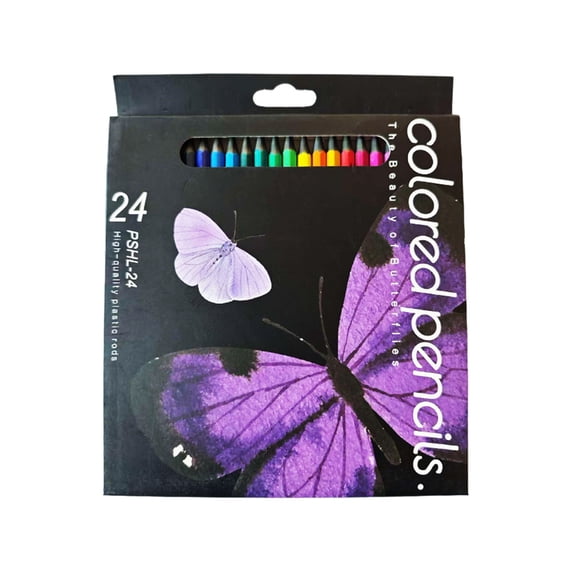Kumdkdwn 24-Color Oil-Based Colored Pencils Set – Art Supplies for Adults, Drawing, Sketching, Coloring Books, Bulk Artist Pencils in Storage Box