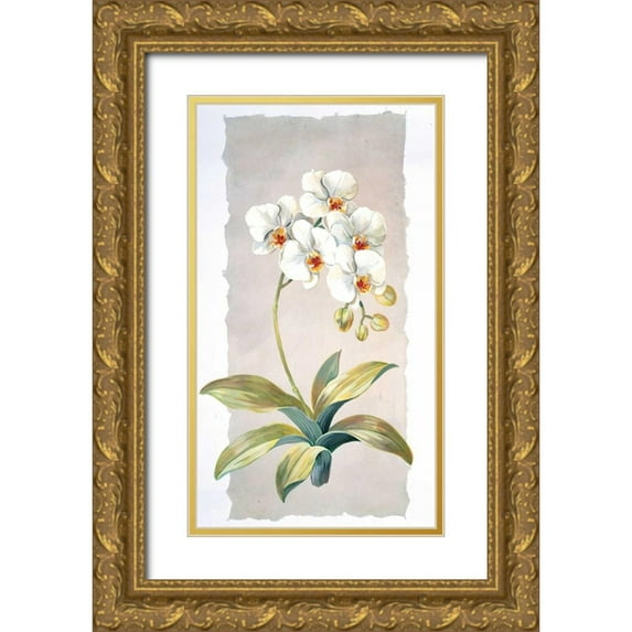 Kumorek, Krysztov 15x24 Gold Ornate Wood Framed with Double Matting Museum Art Print Titled - Orchid