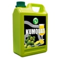 Kumquat Flavored Syrup, 5.5 Pound Plastic Jar 1 Pack