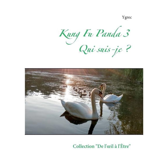 Kung Fu Panda 3: Qui suis-je ?, (Paperback)