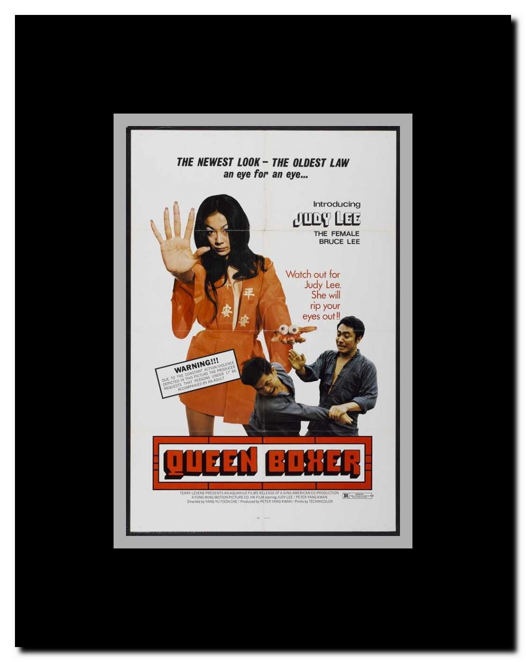 Kung Fu Queen Framed Movie Poster