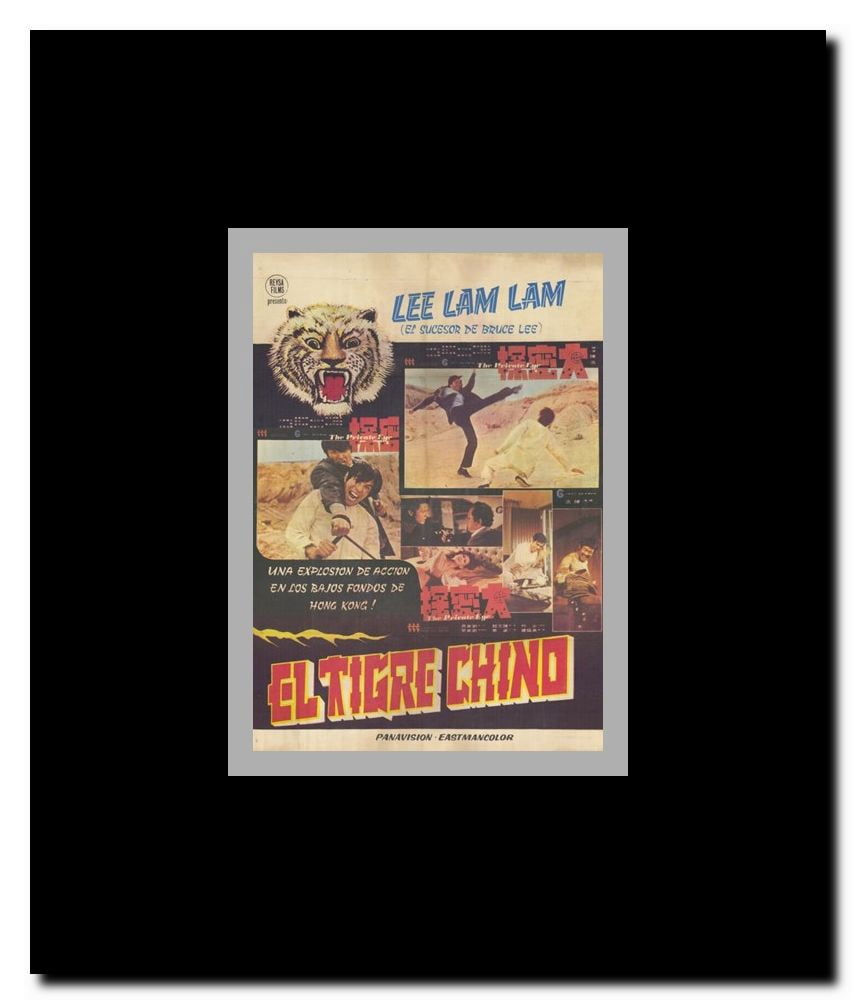Kung Fu: The Punch of Death Framed Movie Poster