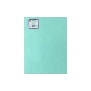 Kunin 9" x 12" Rainbow Classic Minty Felt, 1 Each