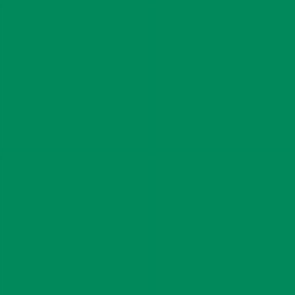 Kunin Rainbow Classic Felt, 9" x 12", 24 pk, Pirate Green