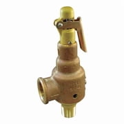 Kunkle Valve Safety Relief Valve,1-1/4 x 1-1/2,150psi 6010GFV01AKM0150