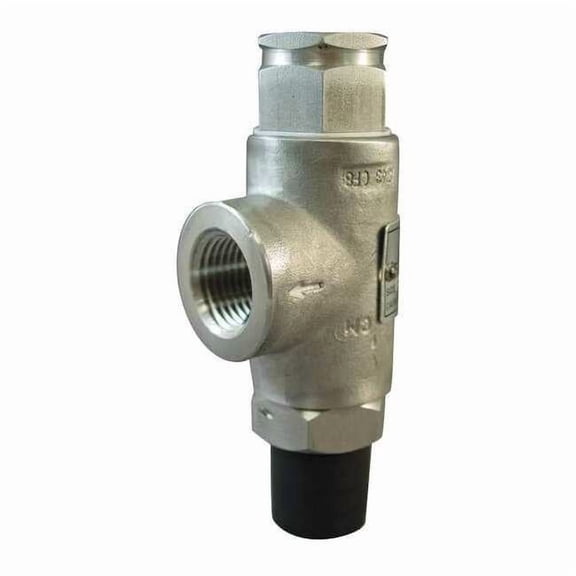 Kunkle Valve Safety Relief Valve,1/2 In,100 psi,SS 0140-C01-ME0100