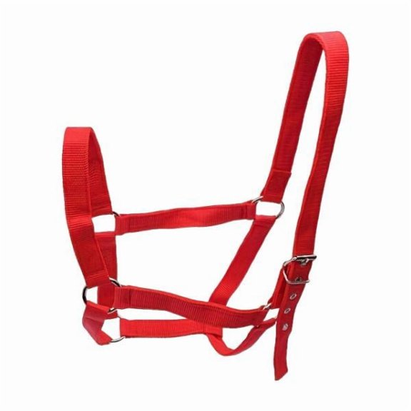 Kuntesetty Horse Halter Portable PP Webbing Wear Resistant for Pasture Contest Practice red