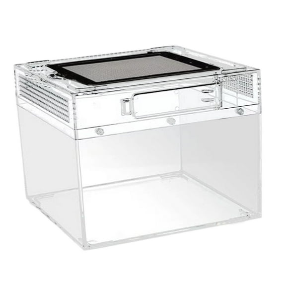 Kuntesetty Reptile Terrarium Reptile Tank Ventilation Transparent Breeding Box Habitat for Turtle Scorpions Lizards Horned Frogs Geckos 20cmx20cmx15cm
