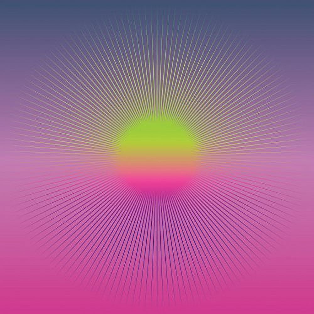 Kunzite - Birds Don'T Fly - Music & Performance - Vinyl
