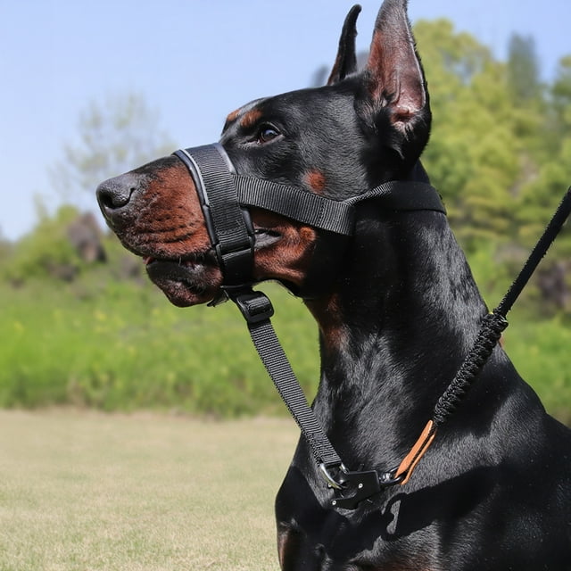 Kuorak No-Pull Dog Head Collar Adjustable Dog Head Halter with Padded Nose Band Reflective Training Muzzle Leash for Medium Large Dogs
