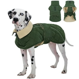 Overstock dog clothes discount