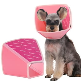 E collars at walmart hot sale