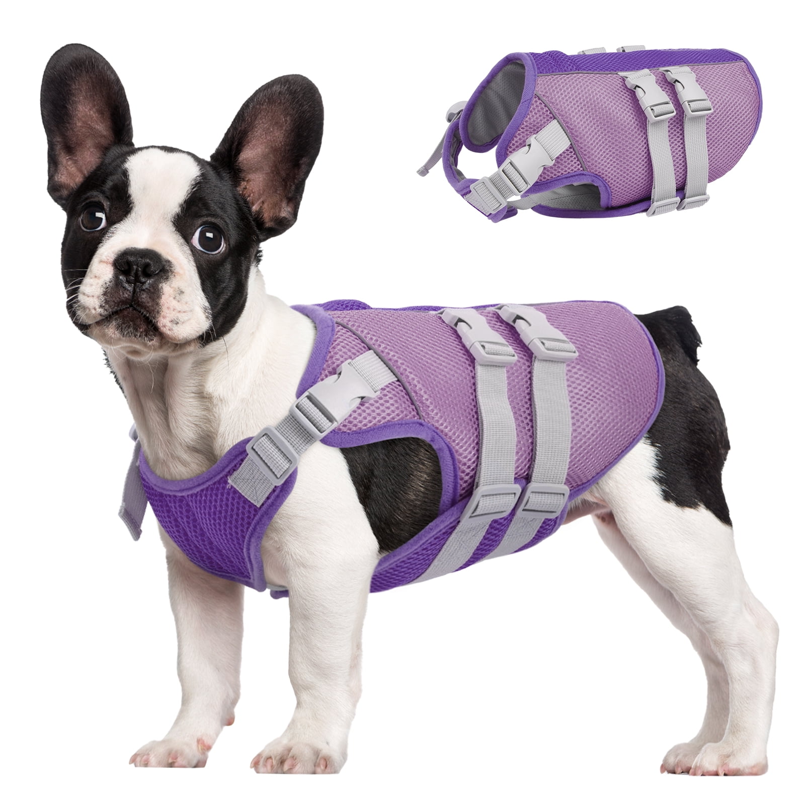 Doggles BPEXXX-09 XXS Extreme Backpack Extreme - Gray-Black