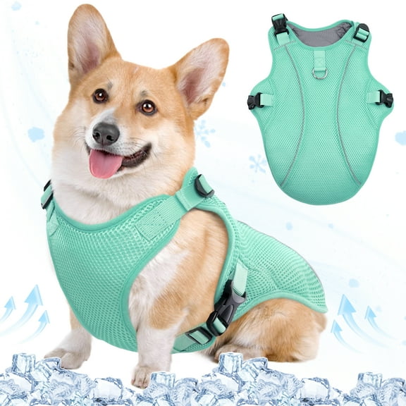 Kuoser Dog Cooling Vest, Breathable Mesh Ice Vest for Dogs, Cooling Jacket for Pet, Green, S