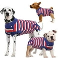 thumbnail image 1 of Kuoser Dog Onesie Surgical Recovery Suit for Dogs Cats,Blue,XS, 1 of 7