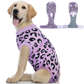 Kuoser Dog Recovery Suit after Surgery, Professional Surgical Onesie for Male Female Dogs, Soft Pet Surgery Suit for Abdominal Wounds Skin Disease, Purple Leopard, M
