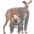 thumbnail image 1 of Kuoser Dog Recovery Suit, Surgery Suit for Front Legs, Dog Anti-Lick Wounds Sleeves, Gray, XXL, 1 of 8