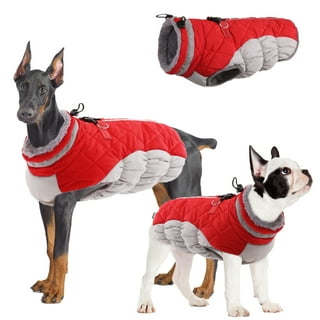 Walmart dog clothes deals