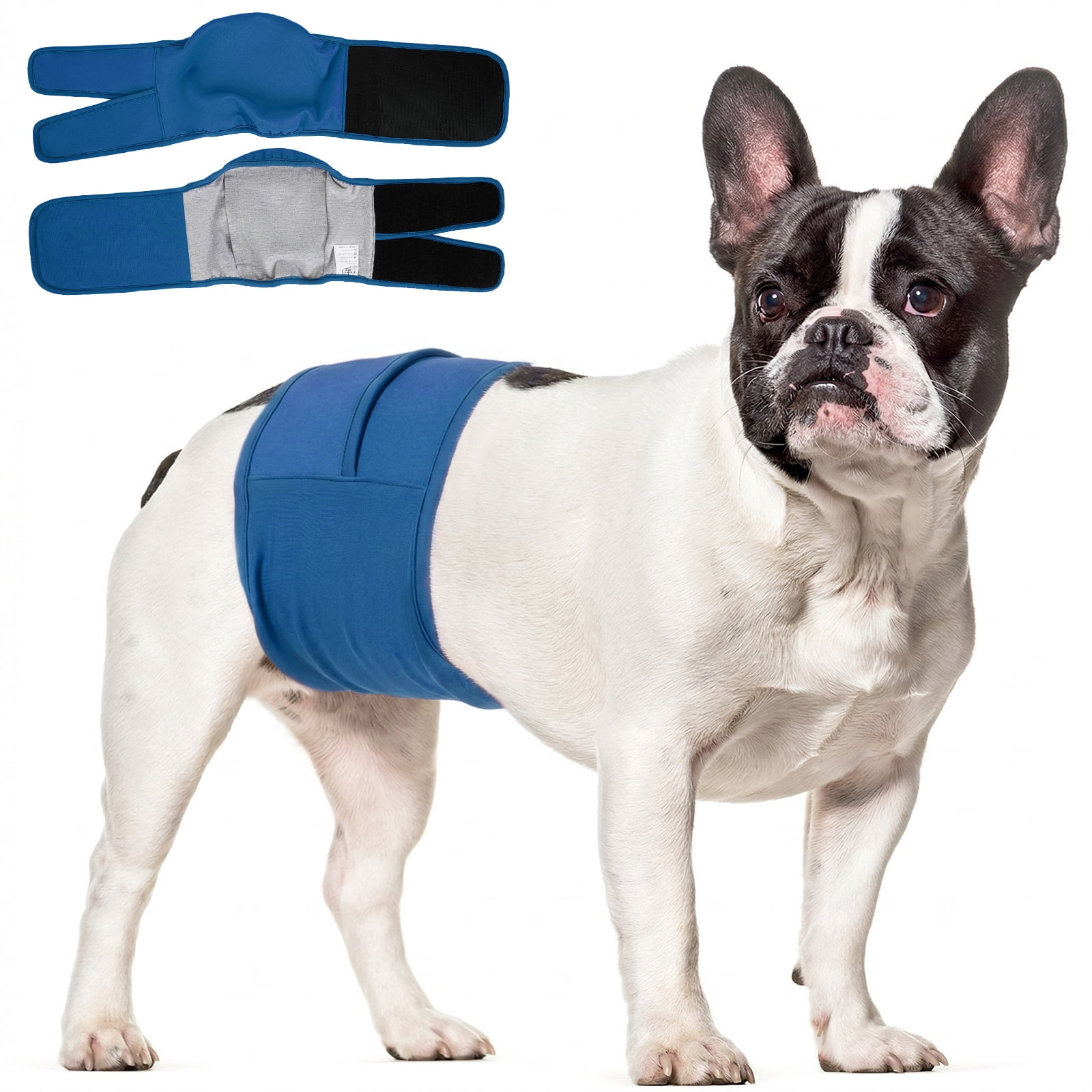Kuoser Reusable Dog Diaper, Period Pant for Females in Heat & Incontinence Wrap for Males, Washable, Blue, XS (1 Pack)