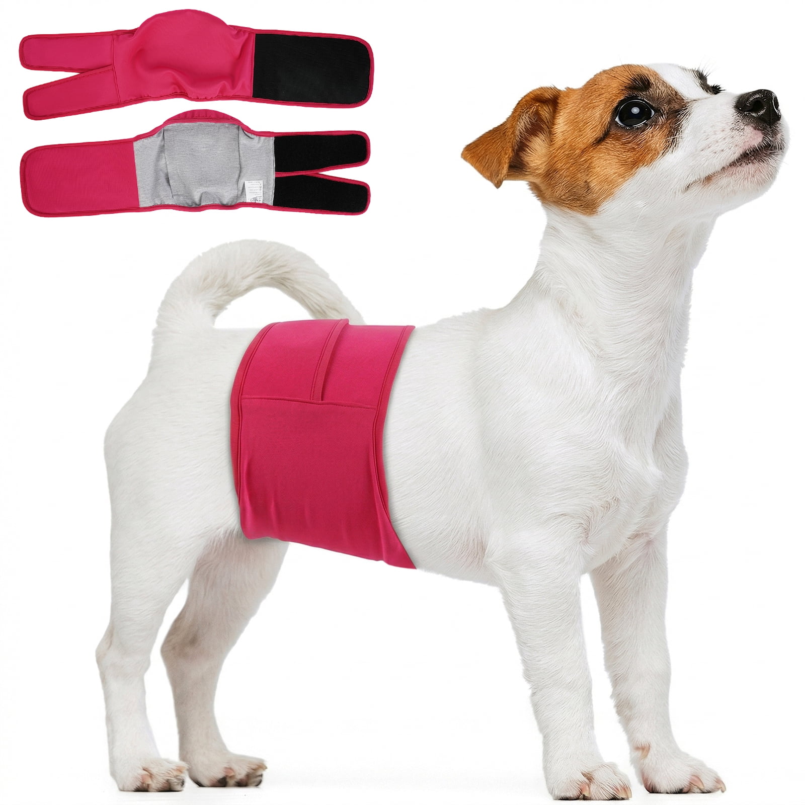 Kuoser Reusable Dog Diaper, Period Pant for Females in Heat & Incontinence Wrap for Males, Washable, Rose-Red, M (1 Pack)