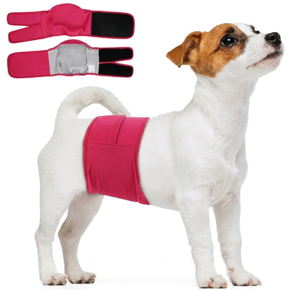 Kuoser Reusable Dog Diaper, Period Pant for Females in Heat & Incontinence Wrap for Males, Washable, Rose-Red, M (1 Pack)