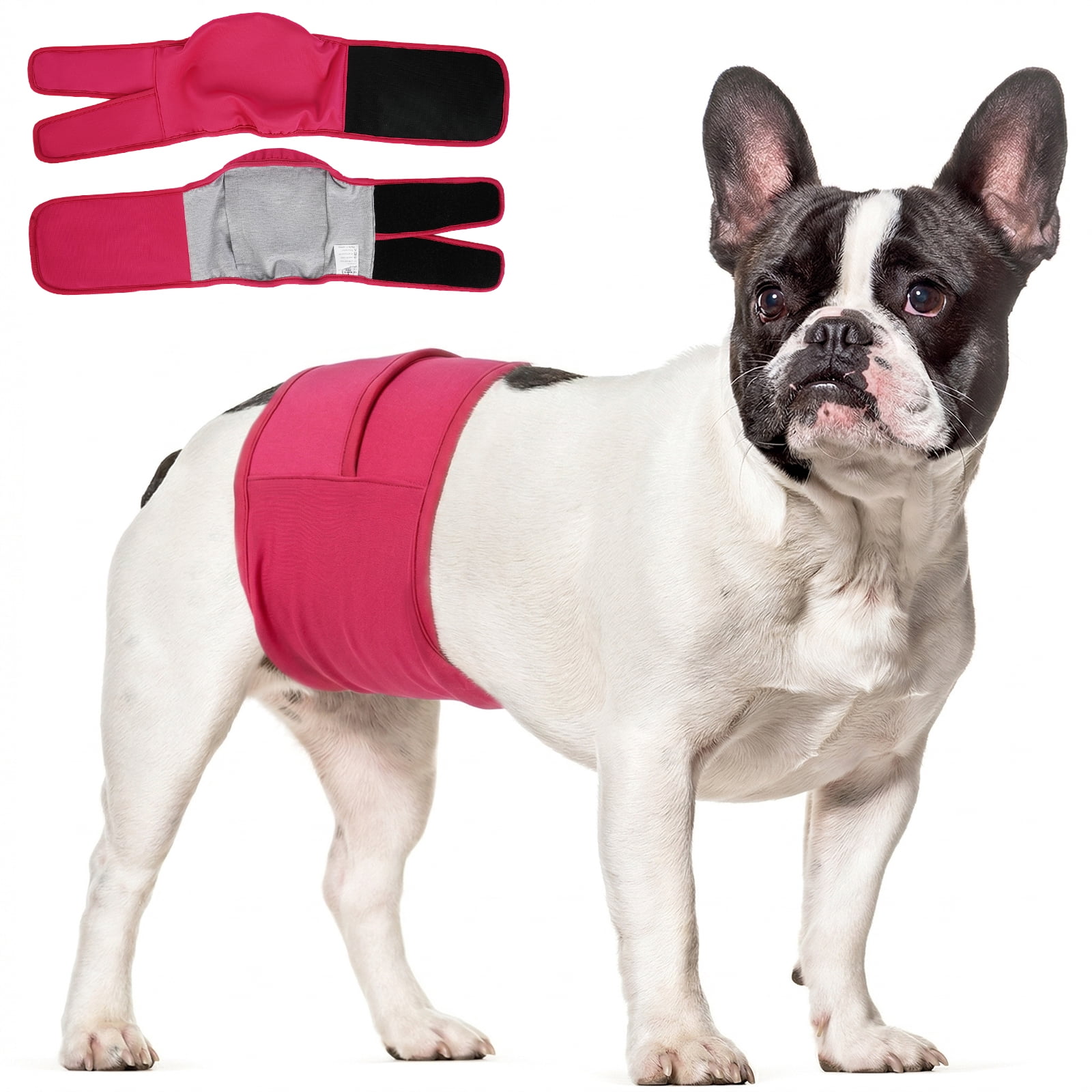 Kuoser Reusable Dog Diaper, Period Pant for Females in Heat & Incontinence Wrap for Males, Washable, Rose-Red, S (1 Pack)