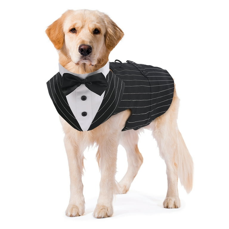 Labrador wedding outfit sale
