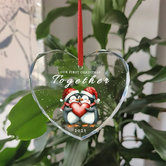 KuphiL10C First Christmas Together Ornament 2025, Penguin Couples Christmas Ornaments, Couple Gifts for Him Her, Boyfriend Girlfriend Gift, Xmas Tree Decoration