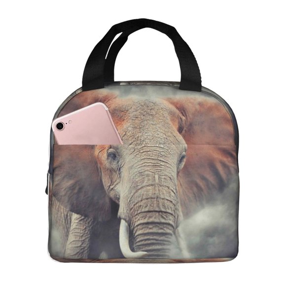Kuqiui Elephant in Smoke Print Lunch Bag Lunch Box for Women & Men,Large Capacity Insulated Lunch Bag for Adult,Leakproof Reusable Lunch Tote Bags for Work/Office/Travel/Picnic