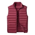 thumbnail image 1 of Kureaily Autumn And Winter Men's Light Down Vest Slim Solid Color Collar Sleeveless Jacket Horse Jacket, 1 of 4