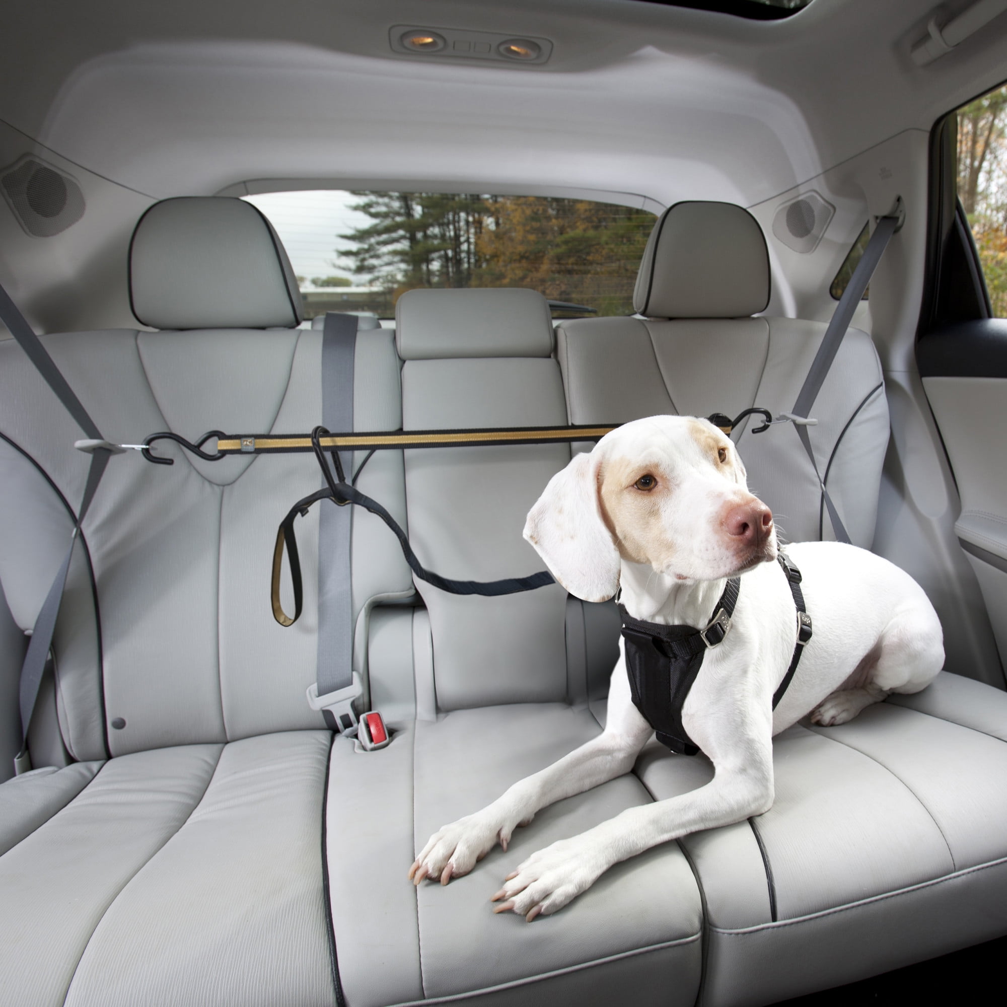 Kurgo Auto Zipline for Dogs, Adjustable Dog Safety Belt Leash, Pet Seat Belt Tether, Reduce Distracted Driving, Includes Dog Leash & Carabiner Clips, 6 feet