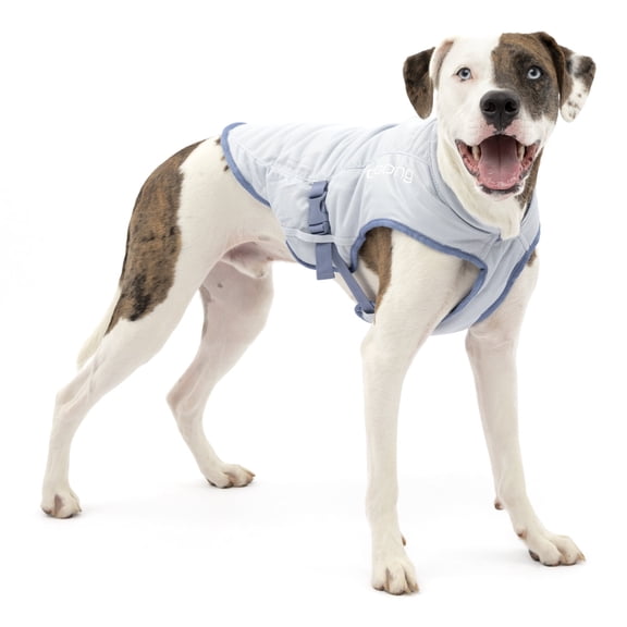 Kurgo Dog Core Cooling Vest, Cooling Jacket for Dogs, Heat Reflective, Medium