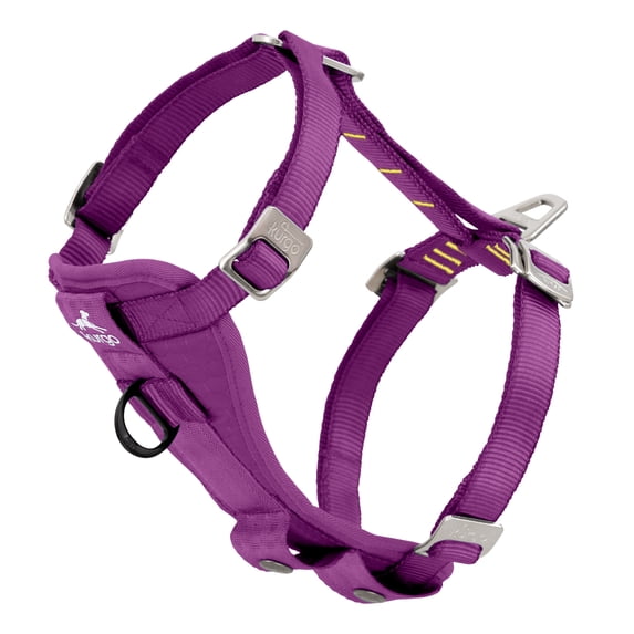 Kurgo Tru-Fit Smart Dog Harness, Quick Release Buckles, Front D-Ring for No Pull Training