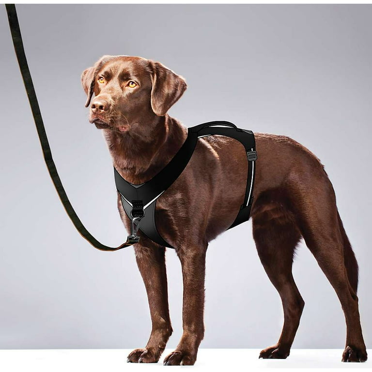 Go tech adventure harness sales