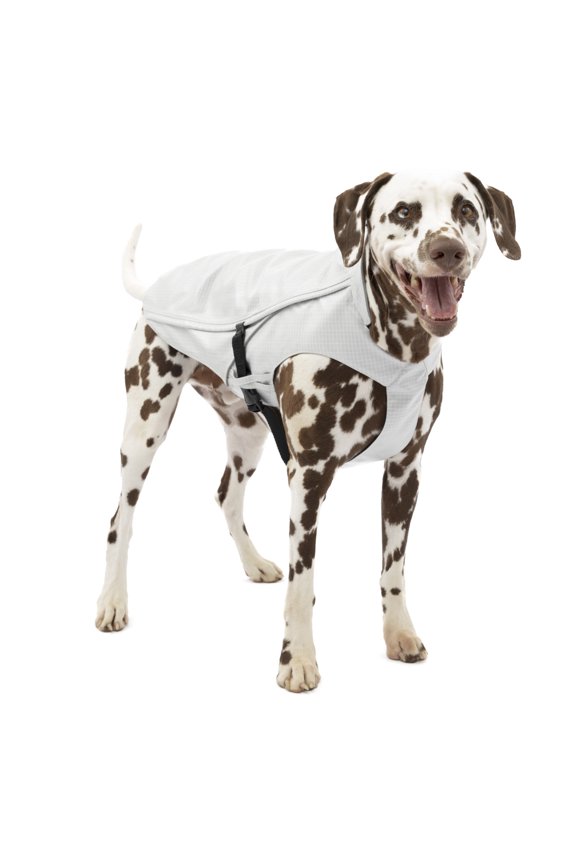Halifax Rain Shell, Dog Raincoat, Waterproof Rain Jacket for Dogs, Pet Poncho, Reflective, Leash Opening, Quick Release Buckles (Stormy White, Medium)