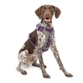 thumbnail image 1 of Kurgo Journey Air Dog Harness, Reflective, Padded, No Pull Front Clip and Control Handle, Purple, M, 1 of 9