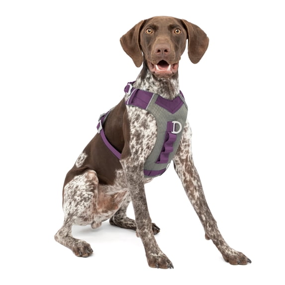 Kurgo Journey Air Dog Harness, Reflective, Padded, No Pull Front Clip and Control Handle, Purple, M