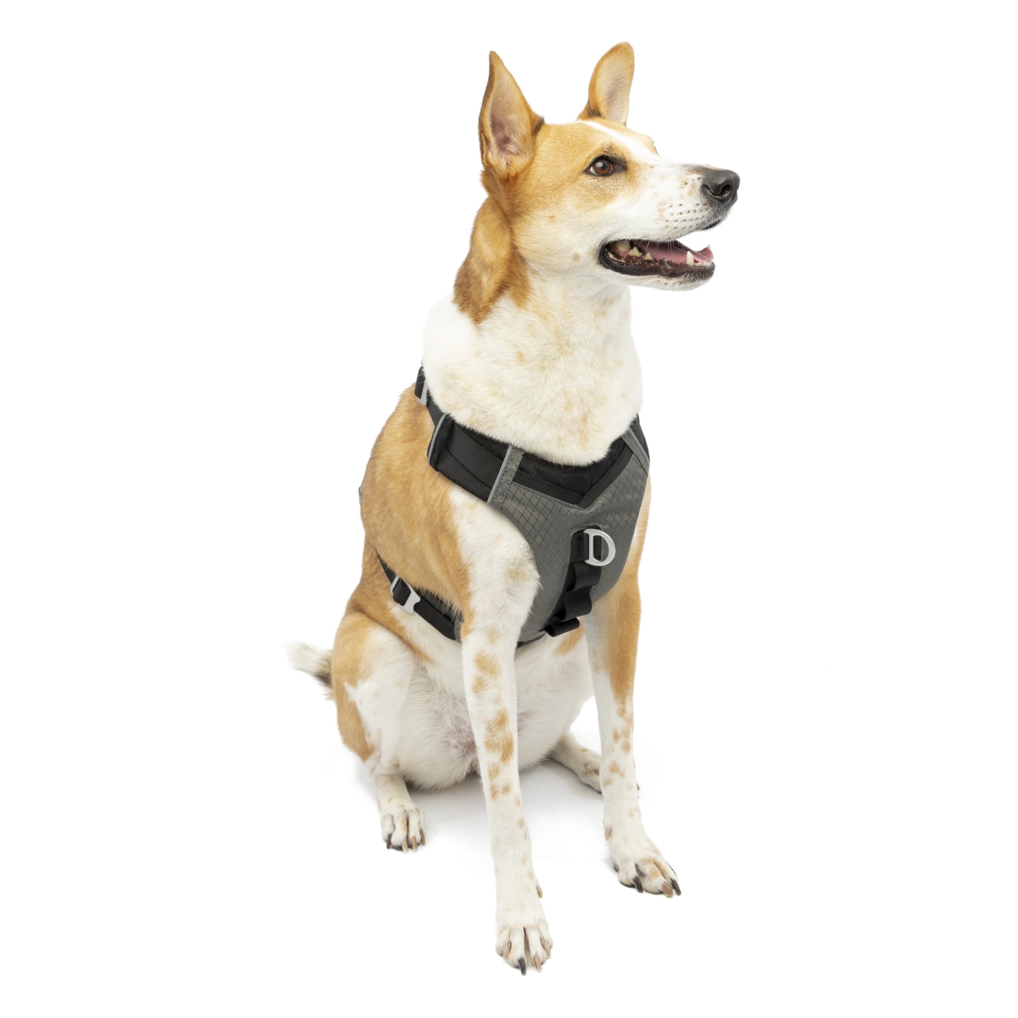 Kurgo Journey Air Dog Harness, Vest Harnesses for Dogs, Pet Hiking Harness for Running & Walking