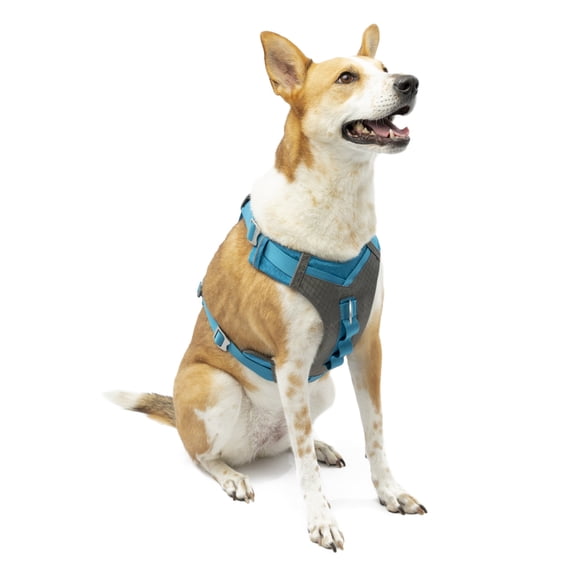Kurgo Journey Air Dog Harness, for Running & Walking, Reflective, No Pull Front Clip, Blue, Lg