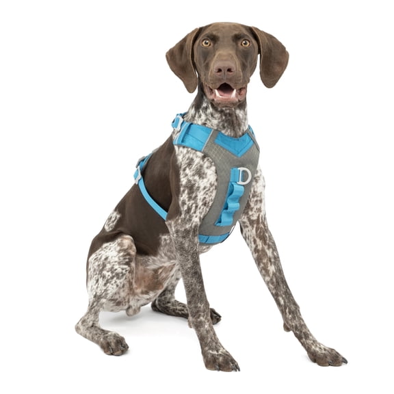Kurgo Journey Air Dog Harness, for Running & Walking, Reflective, No Pull Front Clip, Blue, Med