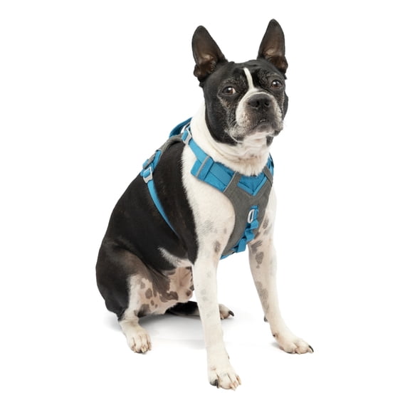 Kurgo Journey Air Dog Harness, for Running & Walking, Reflective, No Pull Front Clip, Blue, Sn