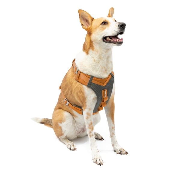Kurgo Journey Air Dog Harness, Reflective, Padded, No Pull Front Clip and Control Handle, Orange, XL