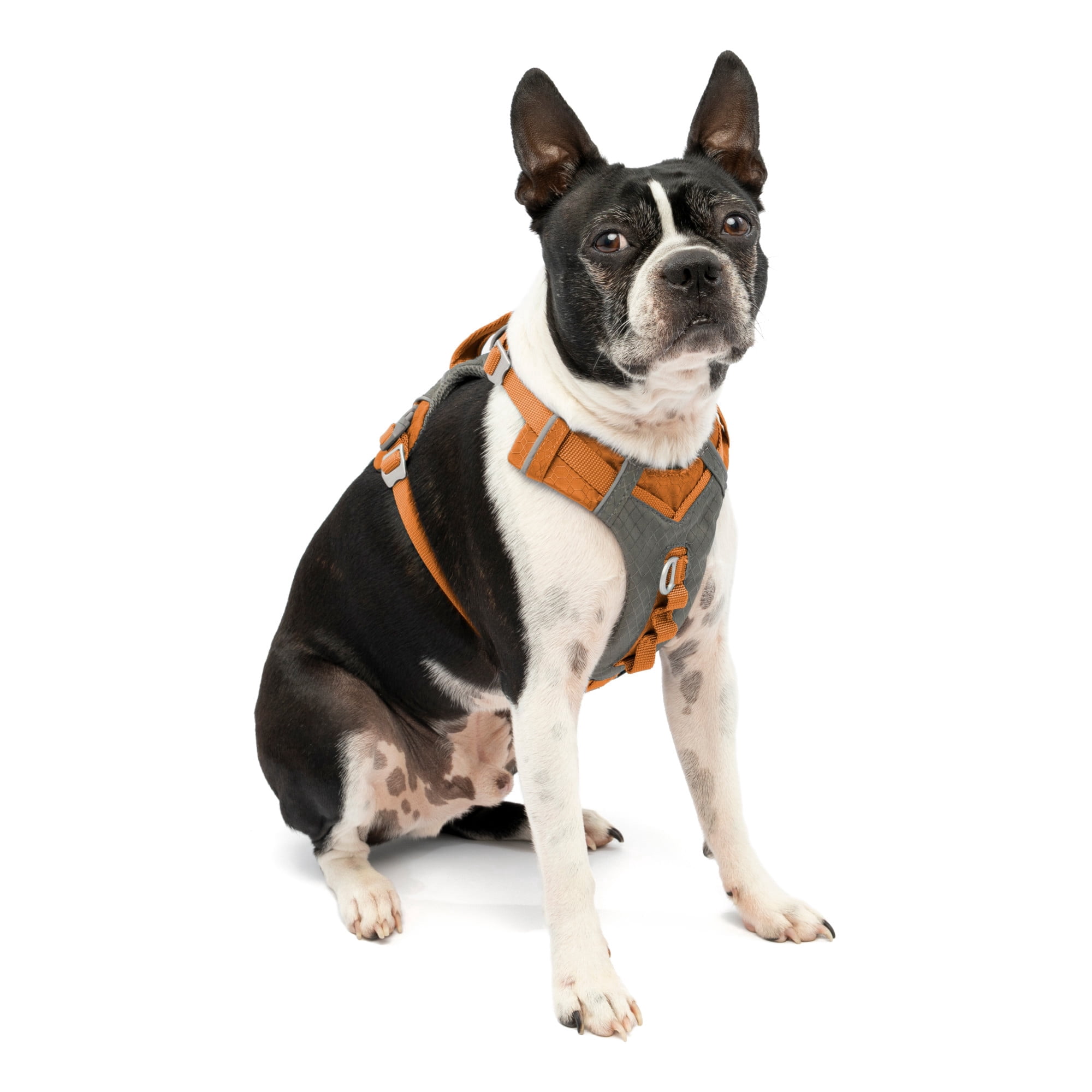 Kurgo Journey Air Dog Harness, Reflective, Padded, No Pull Front Clip and Control Handle, Orange, S