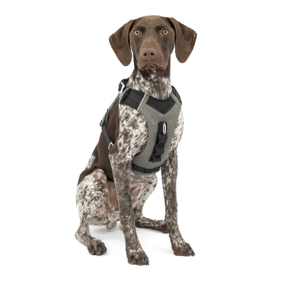 Kurgo Journey Air Dog Harness, for Running & Walking, Reflective, No Pull Front Clip, Black, Med