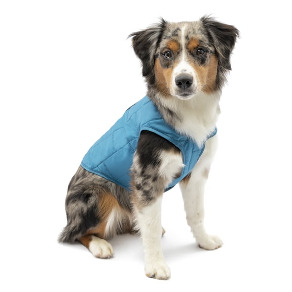 Kurgo Loft Dog Jacket, Reversible Dog Coat, Wear with Harness or Sweater, Coastal Blue, S