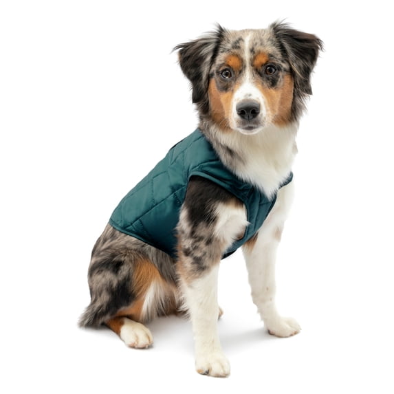Kurgo Loft Dog Jacket, Reversible Dog Coat, Wear with Harness or Sweater, Water Resistant, Reflective, Winter Coat For Small Dogs (Ink Blue, S)