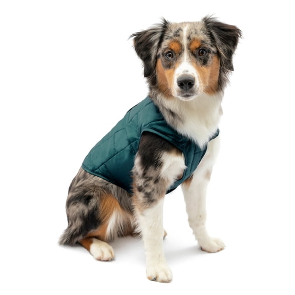 Kurgo Loft Dog Jacket, Reversible Dog Coat, Wear with Harness or Sweater, Water Resistant, Reflective, Winter Coat For Small Dogs (Ink Blue, S)
