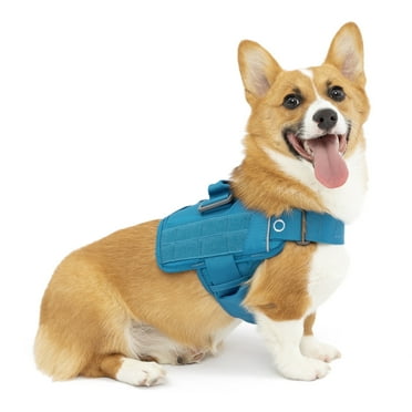 Kurgo Dog Harness, Vest for Dogs, Rsg Townie Dog Harness, for Small, Medium & Large Dogs (Small, Coastal Blue)