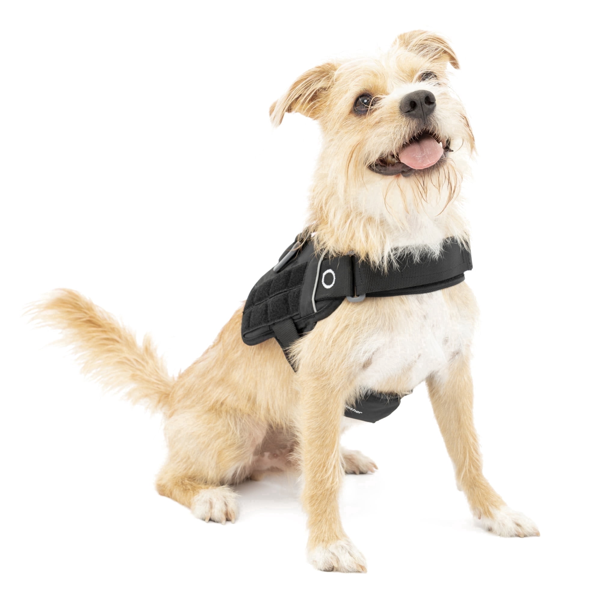 Kurgo Dog Harness, Vest for Dogs, Small, Black